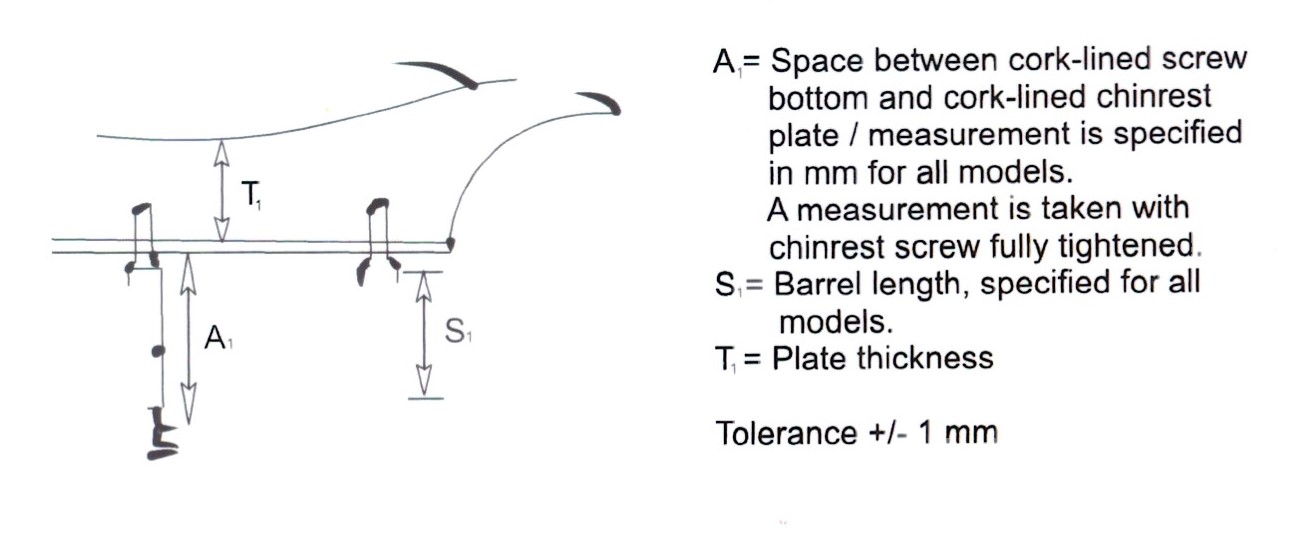 CHINREST WENDLING MODEL